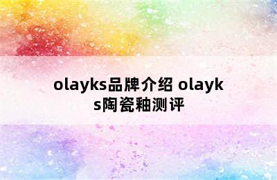 olayks品牌介绍 olayks陶瓷釉测评